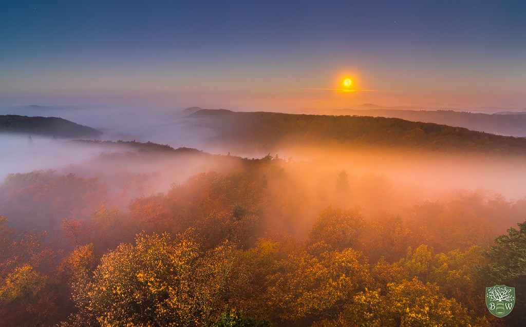 Fotos Con NIEBLA: CONSEJOS PARA CONSEGUIR FOTOS EXCEPCIONALES