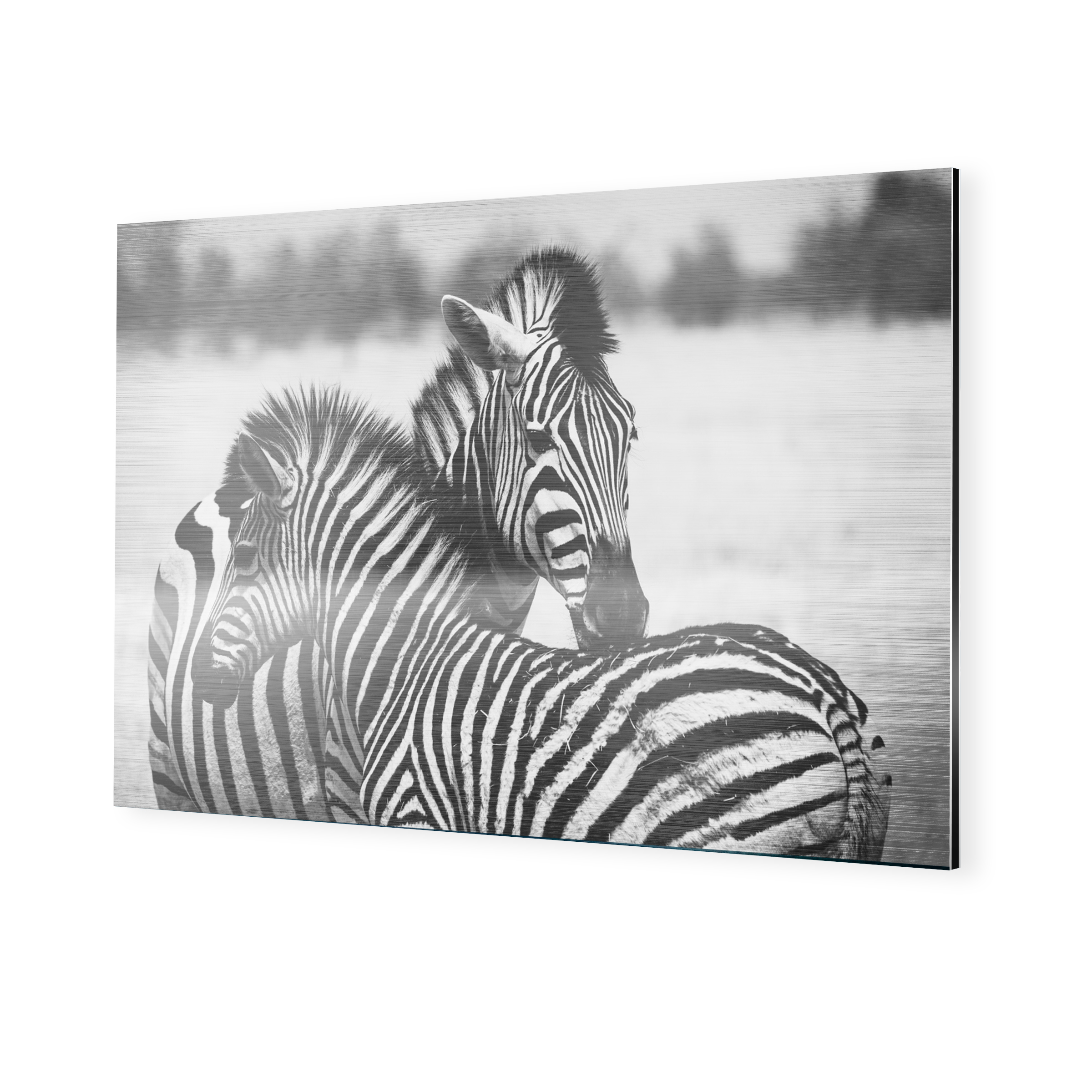 Fotografia animales – LO QUE DEBE SABER